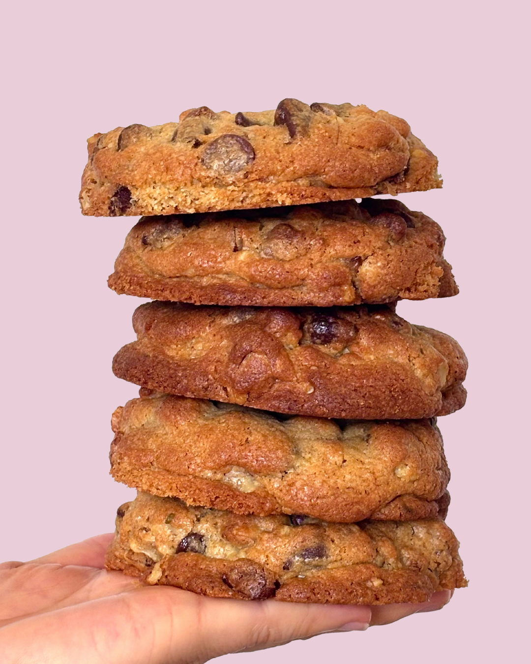 Walnut Choc Chip thumbnail 3